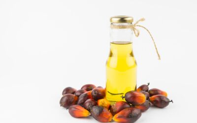 Rebranding palm oil: Transforming perceptions and inspiring generations